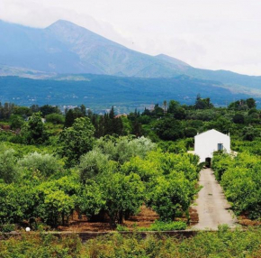 Etna Palmento Sicilia